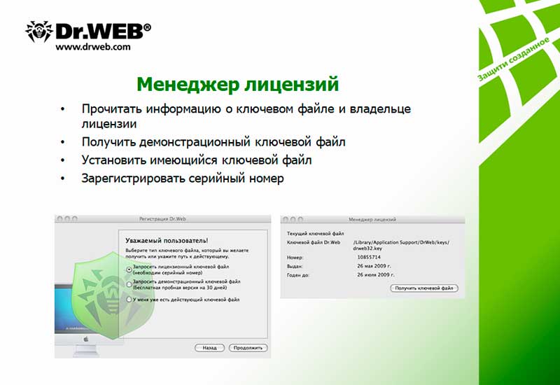 Бесплатная лицензия webbed. Вид лицензии Dr.web. Dr web версия. Демо лицензия Dr web. Ключевой файл доктор веб.